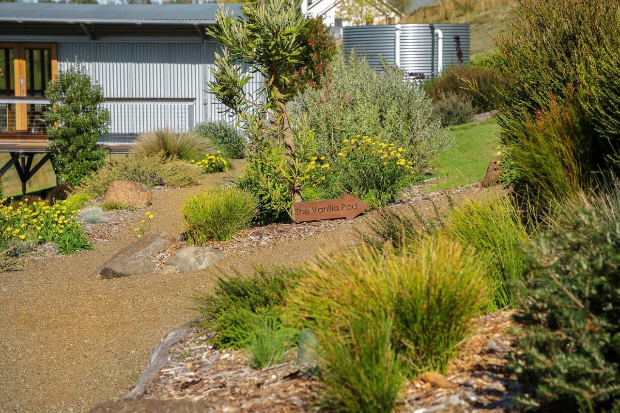 Hobart Hideaway Pods Bed & Breakfast Kingston Exterior photo